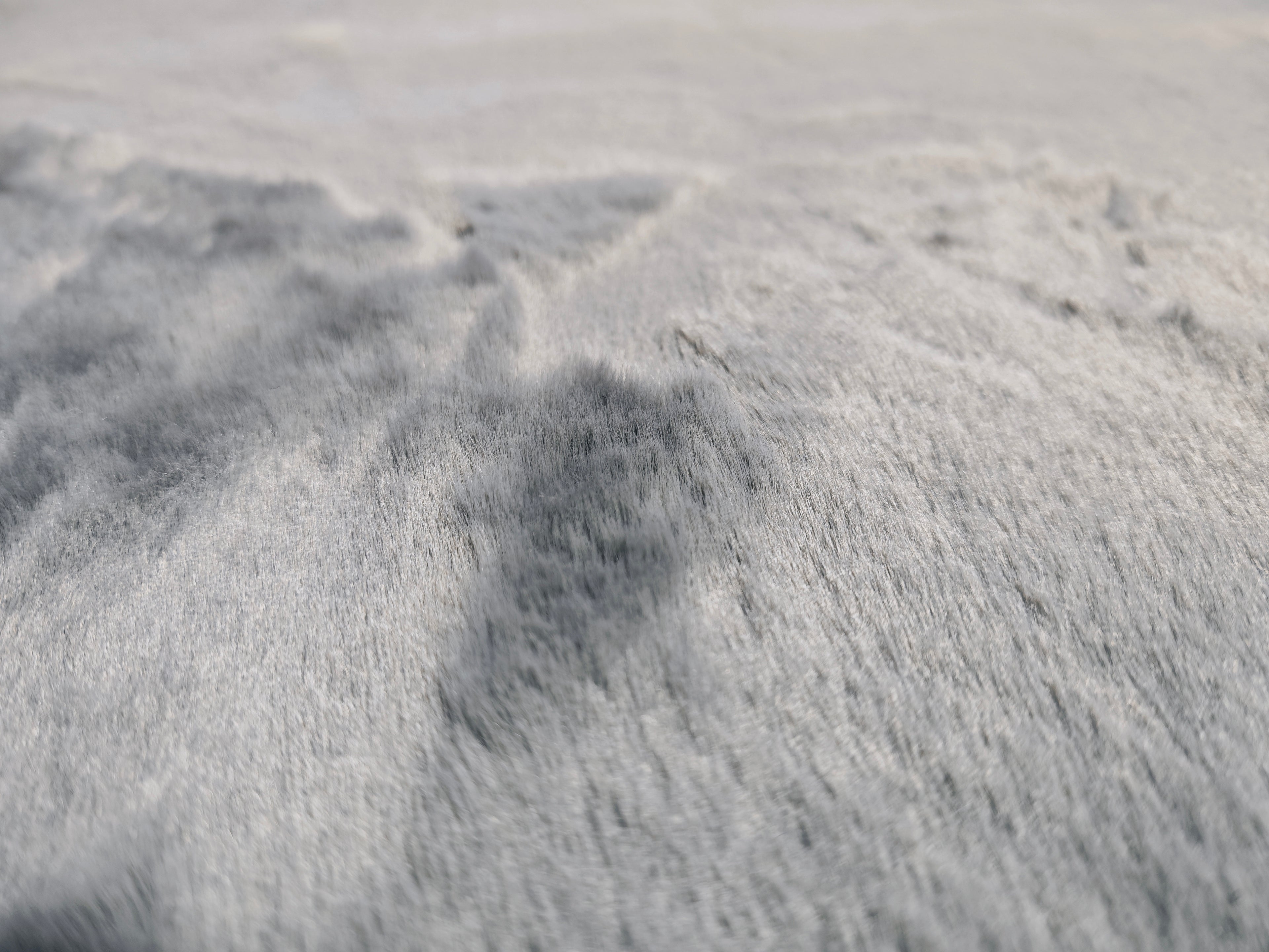 Extra doux - Tapis doux uni GRIS E2