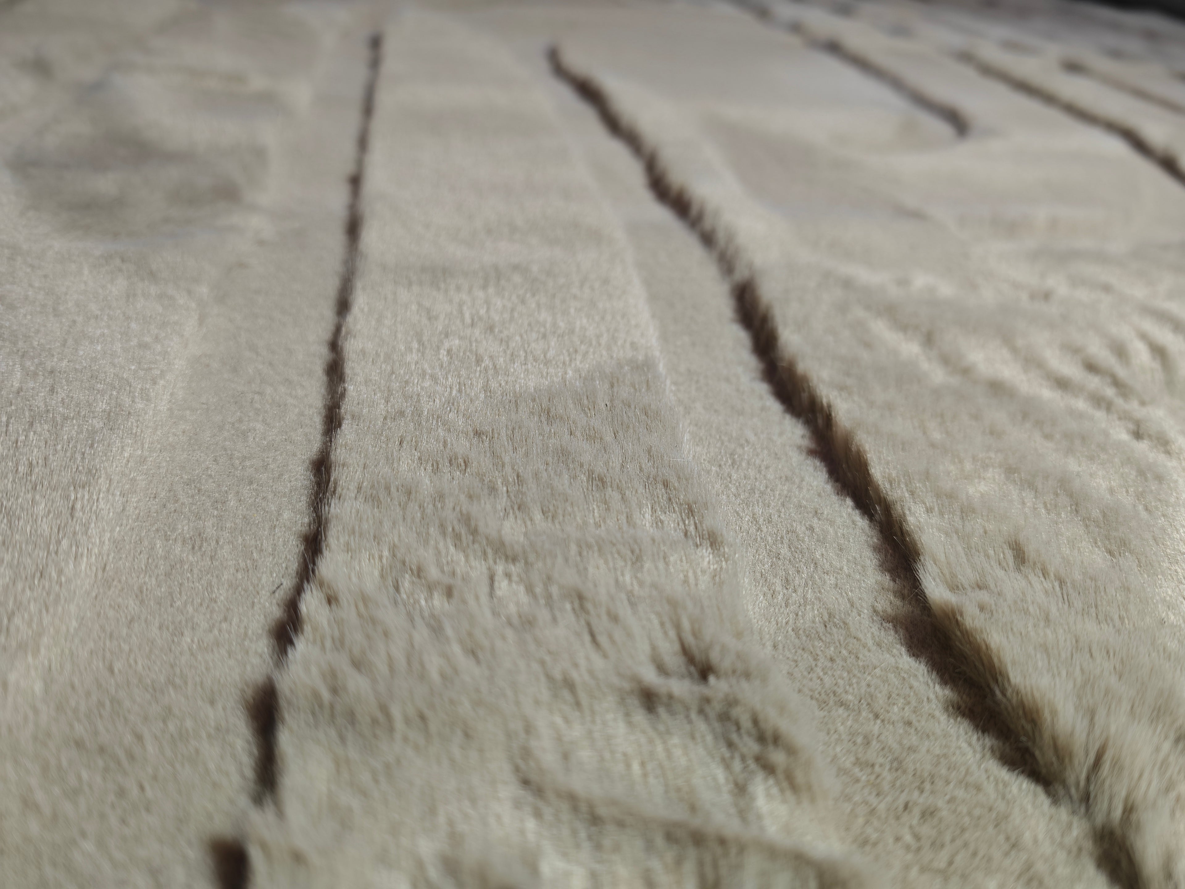 Carved - Tapis doux et élégant C2 Taupe