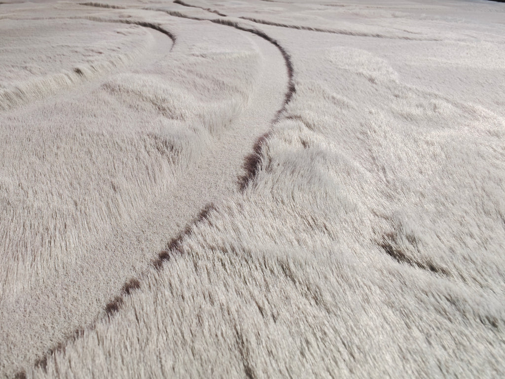 Carved - Tapis doux et élégant C4 Gris