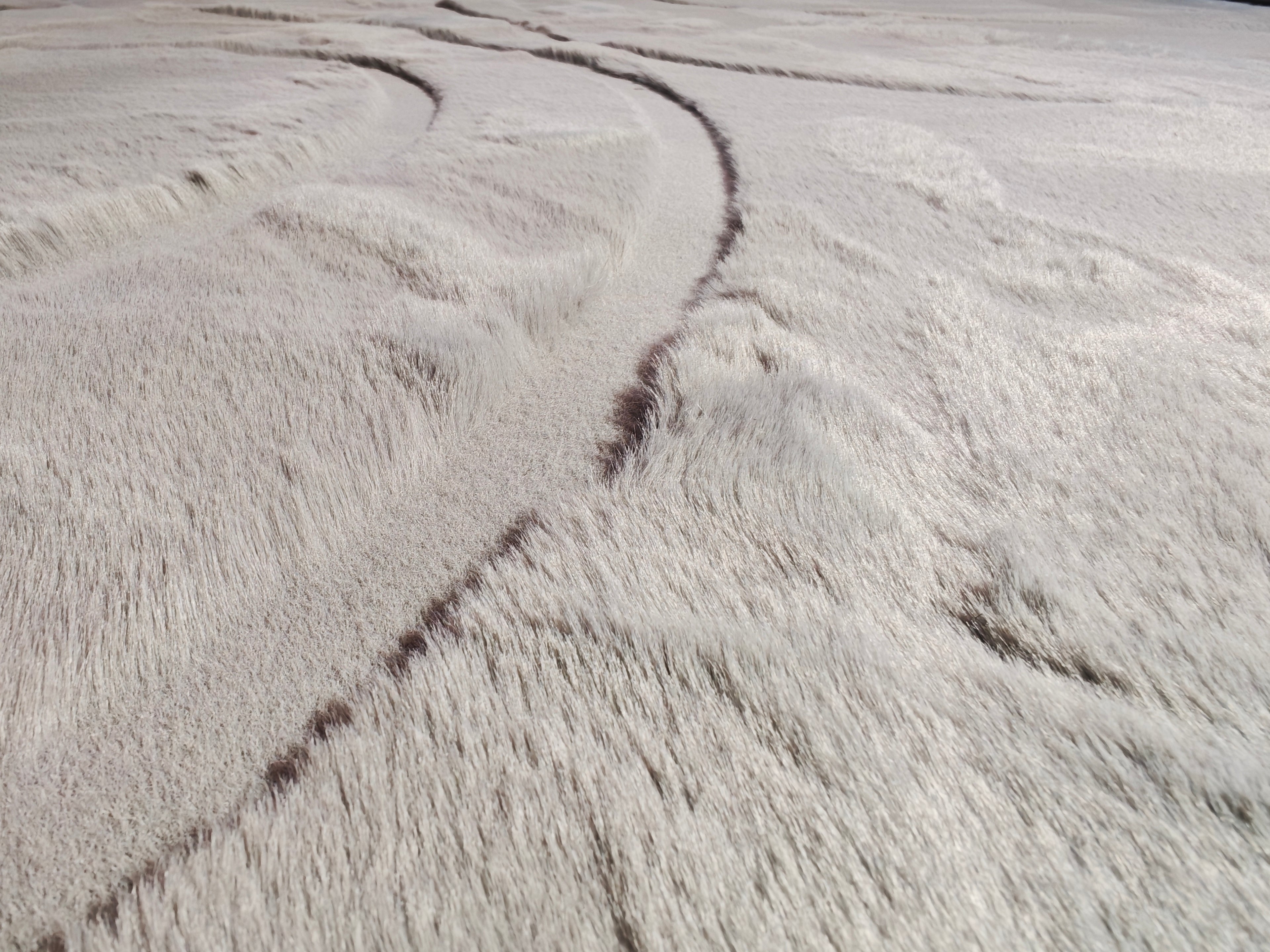 Carved - Tapis doux et élégant C4 Gris